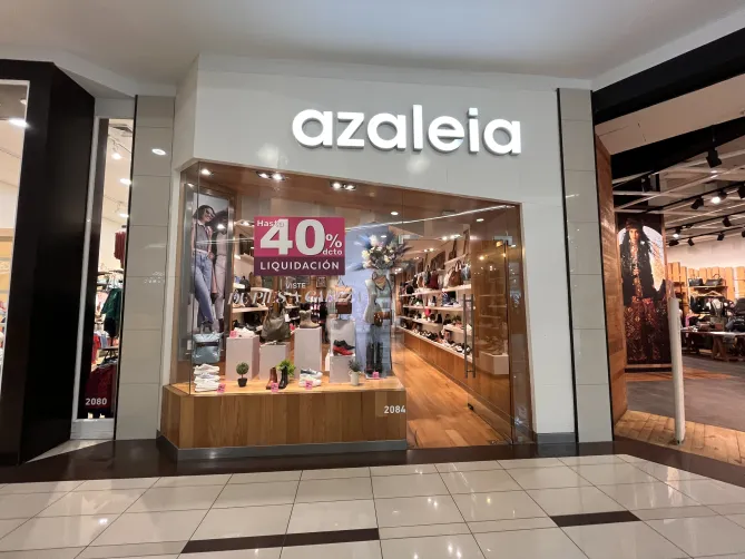 azaleia cenco osorno