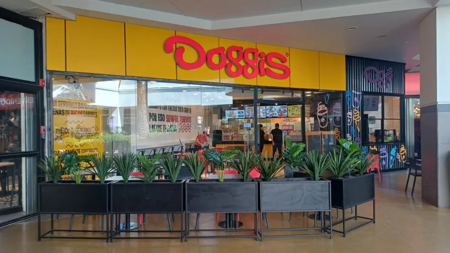 doggis cenco belloto